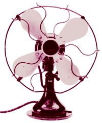 fan